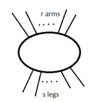 A blob with r arms and s legs